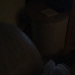 Meet your Posher, Lynn